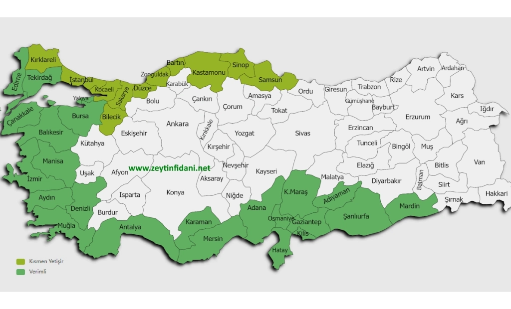 Gemlik Zeytin Fidanı Yetişme Haritası